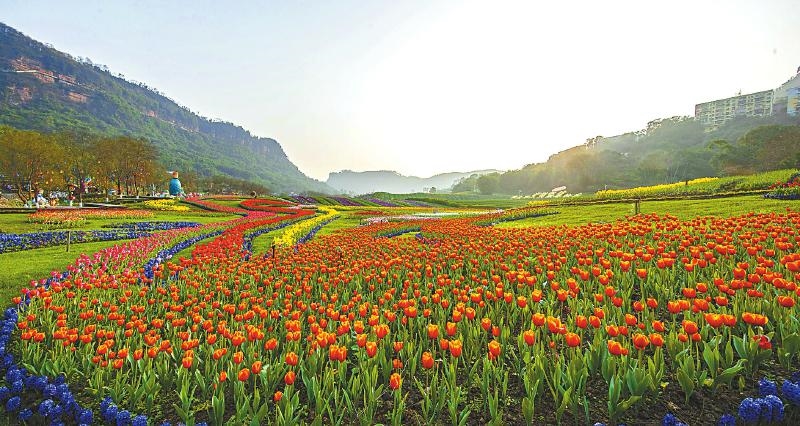 2月25日,泸州市纳溪区大渡口镇