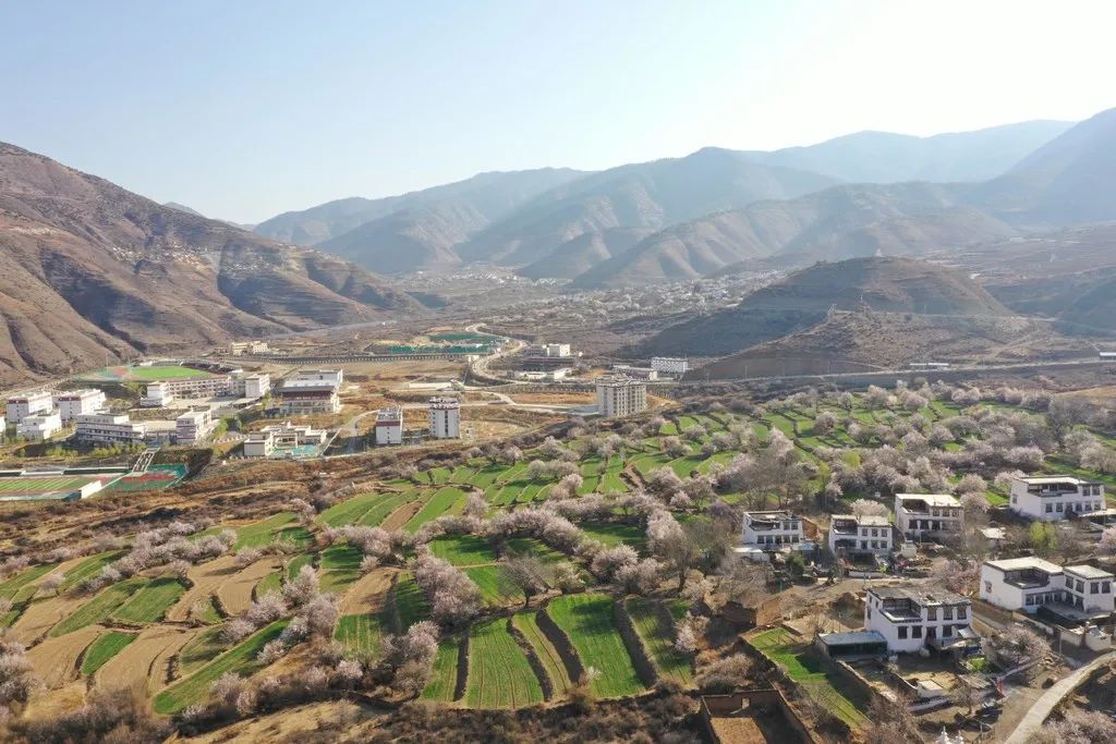 得荣桃花开:绽放出春天最美的模样